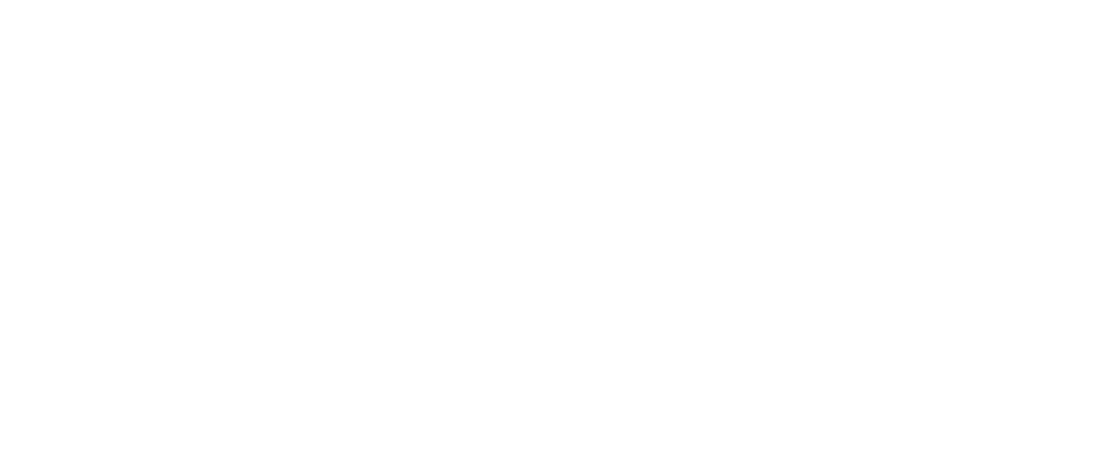 logo DYCE