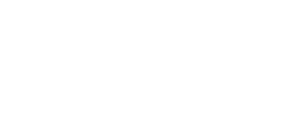 logo Avalanz